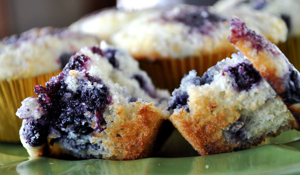 Image result for BLUEBERRY muffin