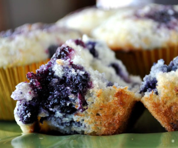 blueberry-muffin-recipe