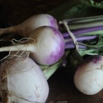 Oven Baked Turnip Chips and A Class on Canning