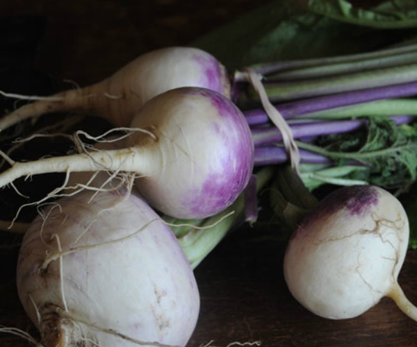 turnips-from-copper-moose-farm