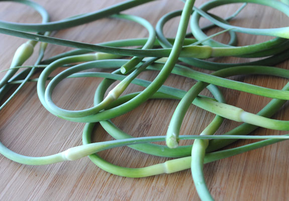 photo-of-garlic-scapes photo-of-garlic-scapes