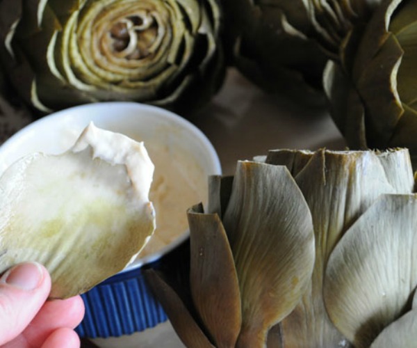 eating-steamed-artichokes-with-horseradish-aioli