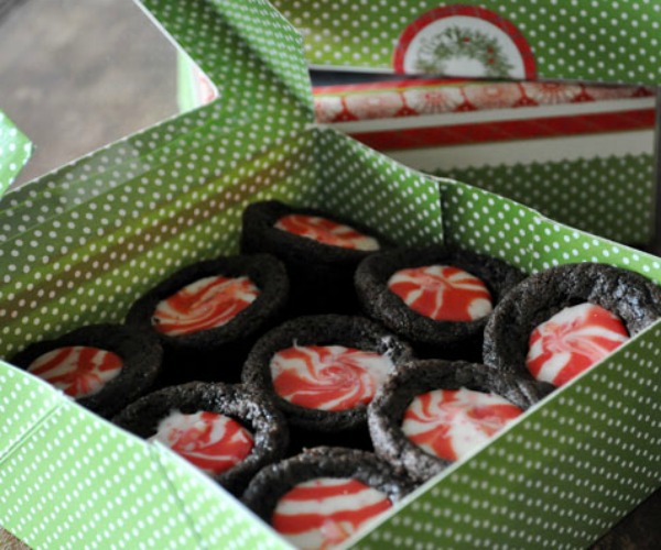 food-blogger-cookie-swap-4-mountain-mama-cooks