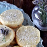 Top 10 Recipes of 2011