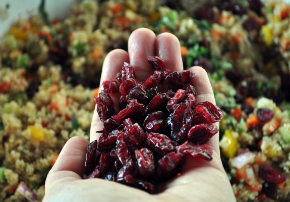cranberry-cilantro-quinoa-salad-5-mountain-mama-cooks cranberry-cilantro-quinoa-salad-5-mountain-mama-cooks