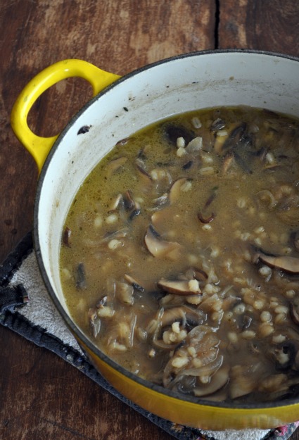 french-onion-and=mushroom-soup-recipe-mountain-mama-cooks french-onion-and=mushroom-soup-recipe-mountain-mama-cooks
