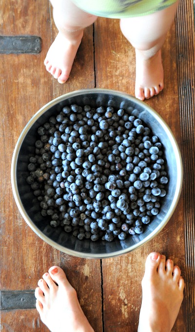 Blueberry & Vanilla Bean Syrup, www.mountainmamacooks.com Blueberry & Vanilla Bean Syrup, www.mountainmamacooks.com
