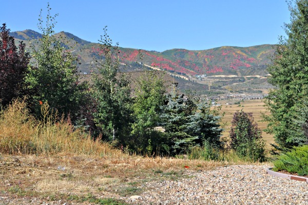 Park City, Utah in the fall www.mountainmamacooks.com Park City, Utah in the fall www.mountainmamacooks.com
