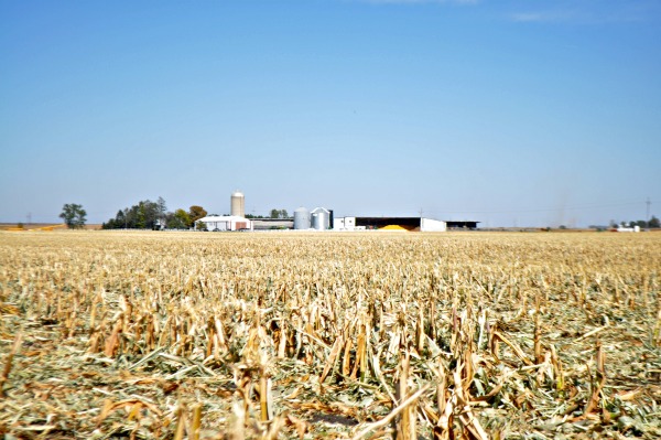 Iowa Corn Quest 2012, www.mountainmamacooks.com Iowa Corn Quest 2012, www.mountainmamacooks.com
