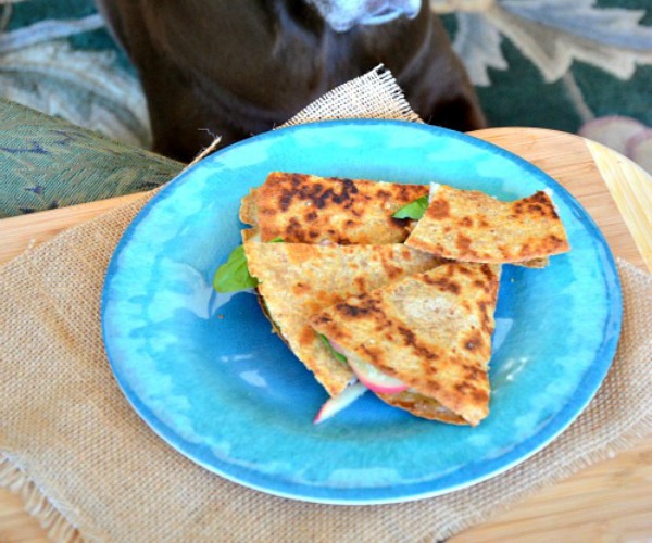 Swiss-Ham-Apple-Quesadilla-with-Honey-Mustard-www.mountainmamacooks.com_