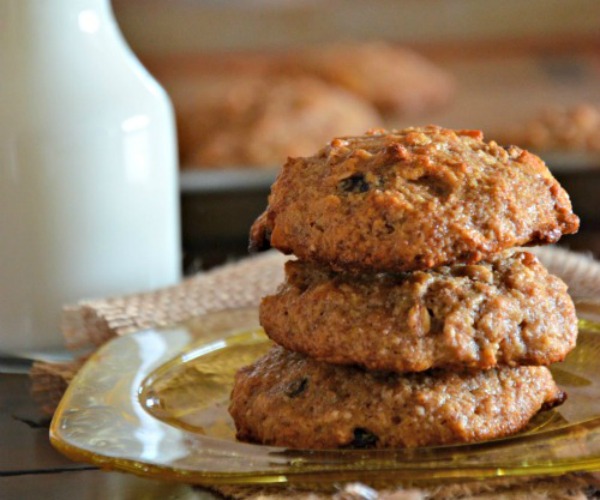 Granola-Breakfast-Cookies-www.mountainmamacooks.com-glutenfree-vegan-sugarfree-eggfree-dairyfree