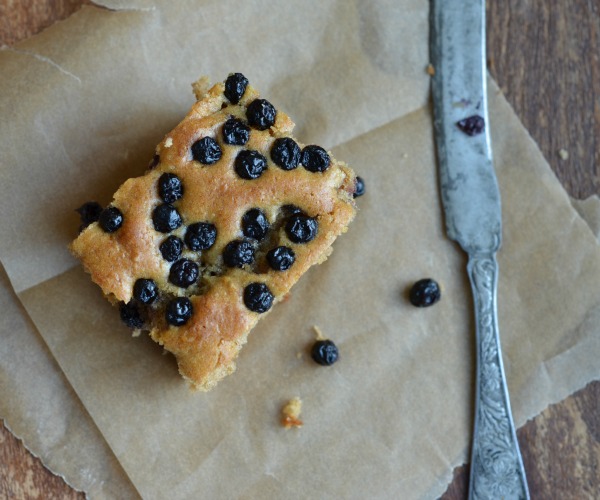 Blueberry Applesauce Cake Mountain Mama Cooks