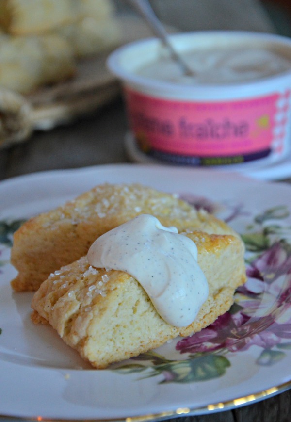 vanillabeansconerecipe2 Mountain Mama Cooks