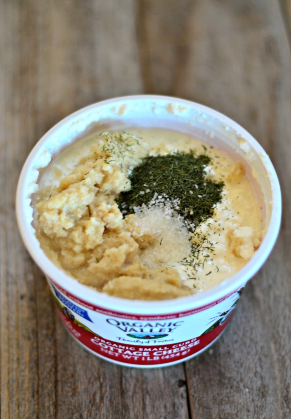 Horseradish Dill Cottage Cheese Dip Mountain Mama Cooks