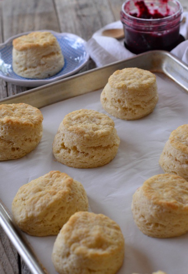 Perfect High Altitude Biscuit Recipe Mountain Mama Cooks