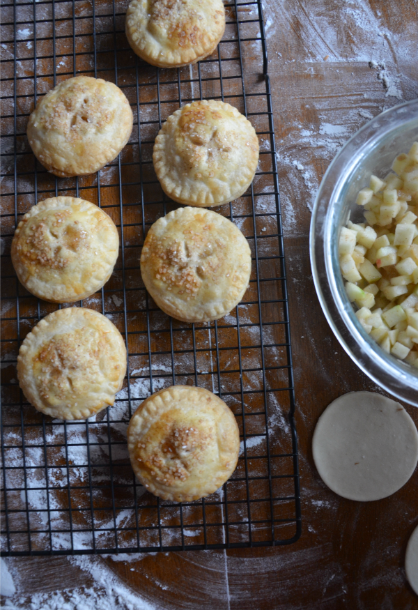 25 Pie Recipes | mountainmamacooks.com
